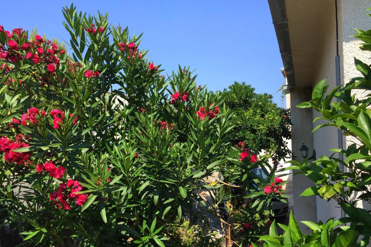 Apartments By The Sea Orebic, Peljesac - 11450 Екстериор снимка