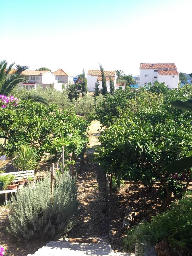 Apartments By The Sea Orebic, Peljesac - 11450 Екстериор снимка